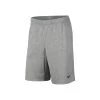 Nike Dri-Fit Shorts Men - Lightgrey